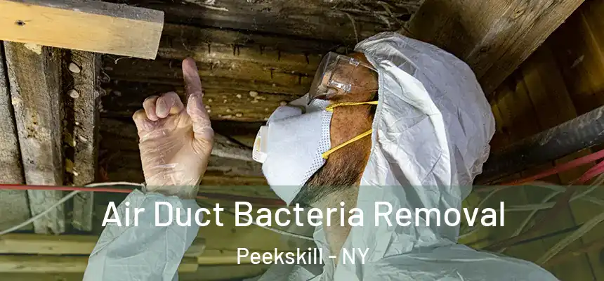  Air Duct Bacteria Removal Peekskill - NY