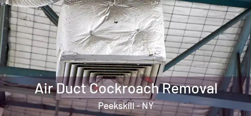 Air Duct Cockroach Removal Peekskill - NY