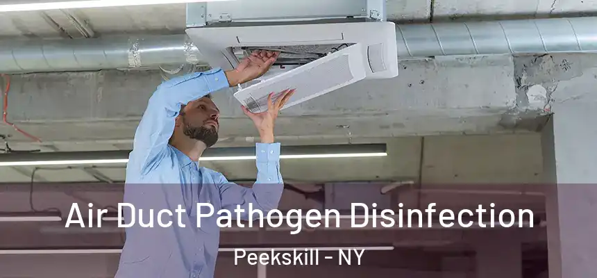 Air Duct Pathogen Disinfection Peekskill - NY