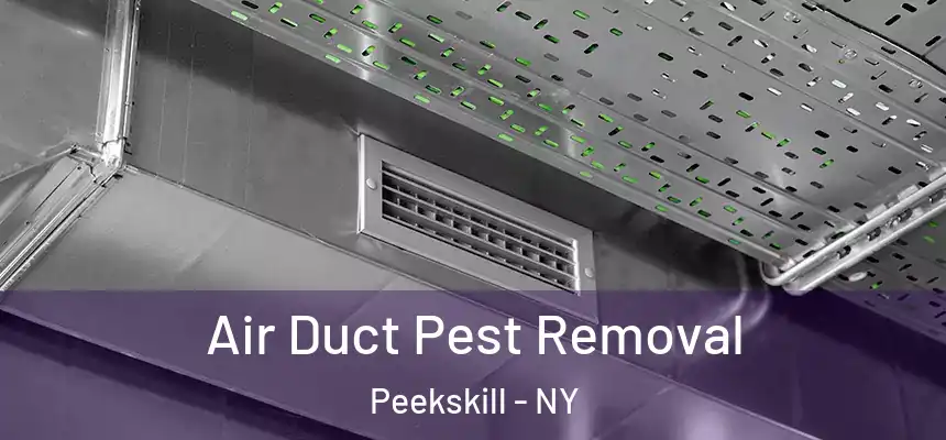  Air Duct Pest Removal Peekskill - NY