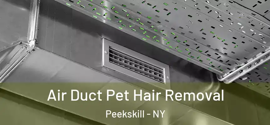 Air Duct Pet Hair Removal Peekskill - NY