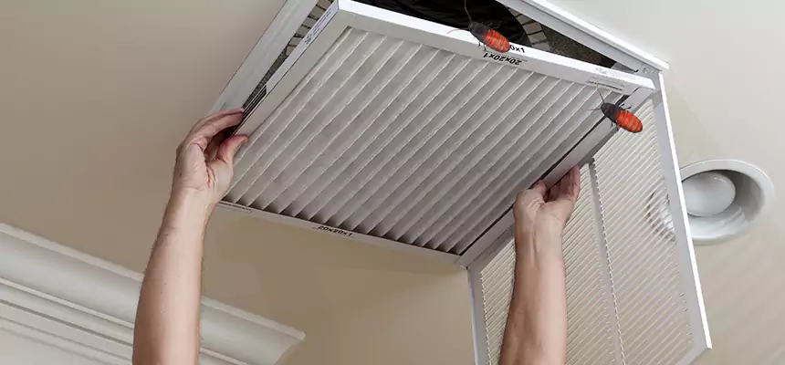 Preventive Cockroach-Proofing for Ducts in Peekskill