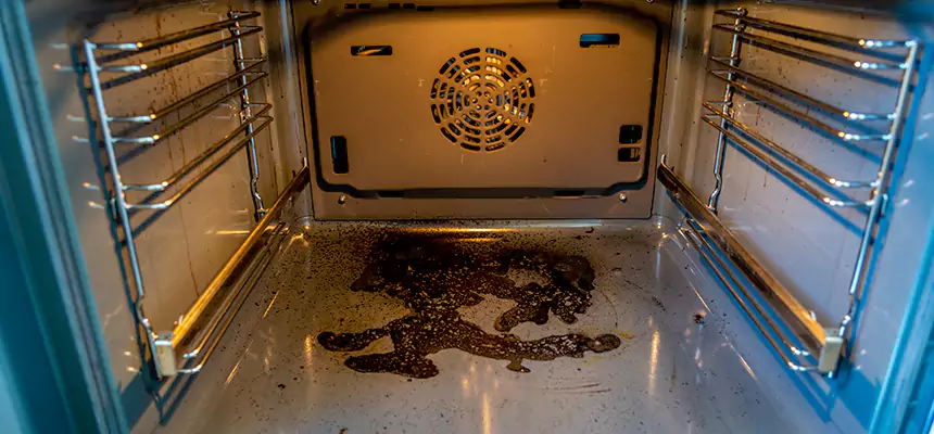 Our Dryer Vent Mold Cleaning Services in Peekskill, NY