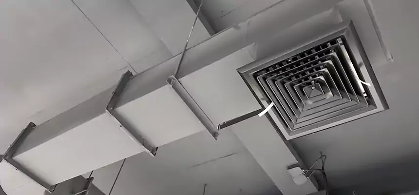 Our Pest Removal From Ducts Services in Peekskill, NY