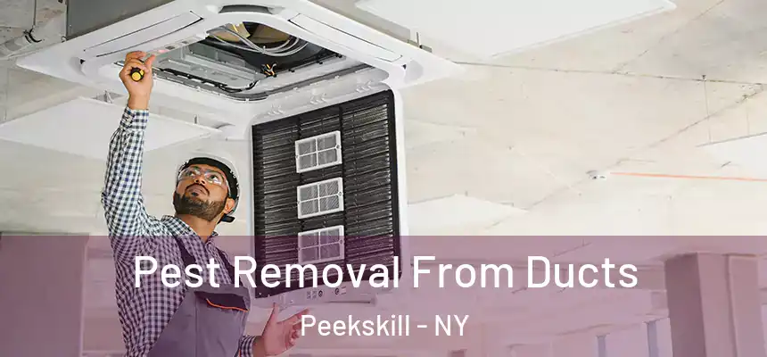  Pest Removal From Ducts Peekskill - NY