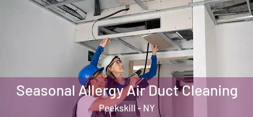 Seasonal Allergy Air Duct Cleaning Peekskill - NY