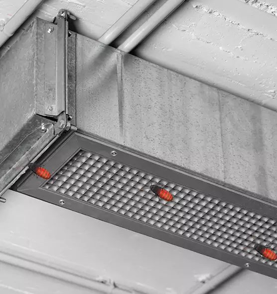 About Air Duct Cockroach Removal in Peekskill, NY