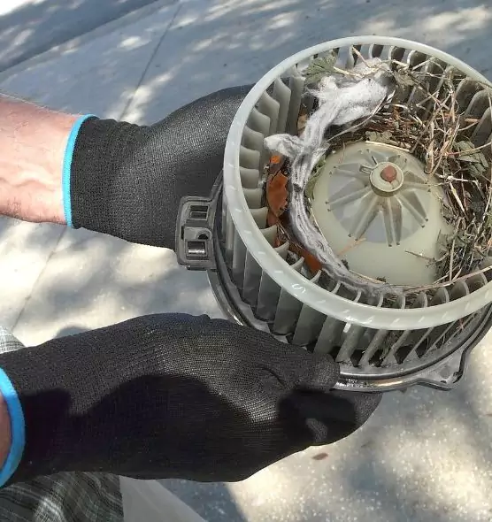 About Air Duct Rat Removal in Peekskill, NY